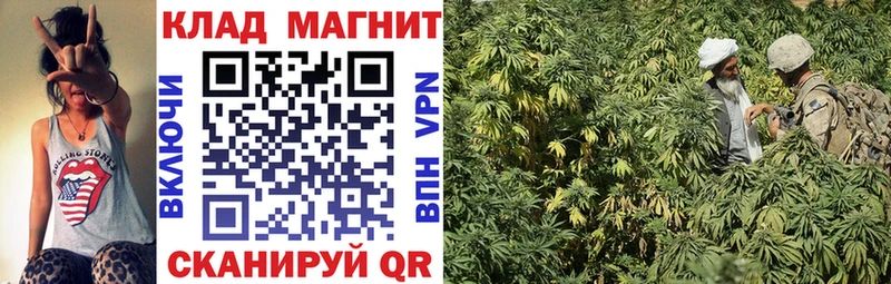 Сколько стоит Чёрмоз Псилоцибиновые грибы  A PVP  ГАШ  Марихуана 