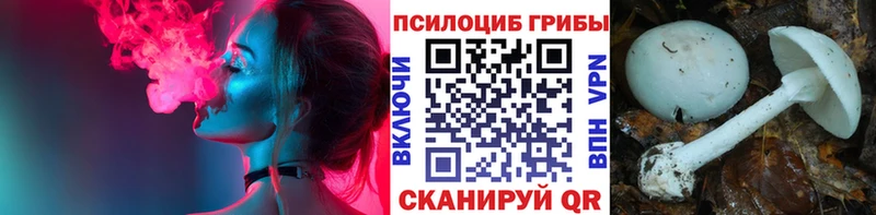 Галлюциногенные грибы MAGIC MUSHROOMS Чёрмоз