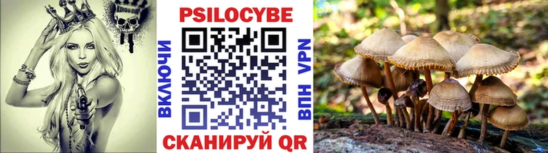 где можно купить наркотик  Чёрмоз  Псилоцибиновые грибы ЛСД 